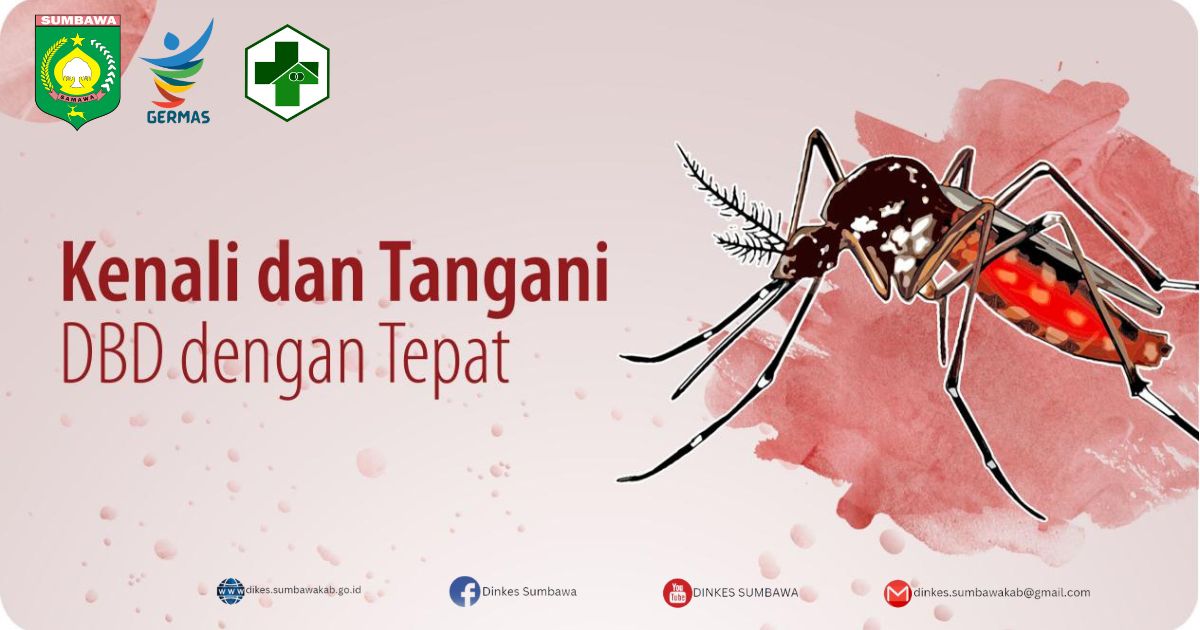 Waspada DBD di Musim Pancaroba: Kenali Gejala, Cegah Sejak Dini, dan Segera Periksa ke Fasilitas Kesehatan
